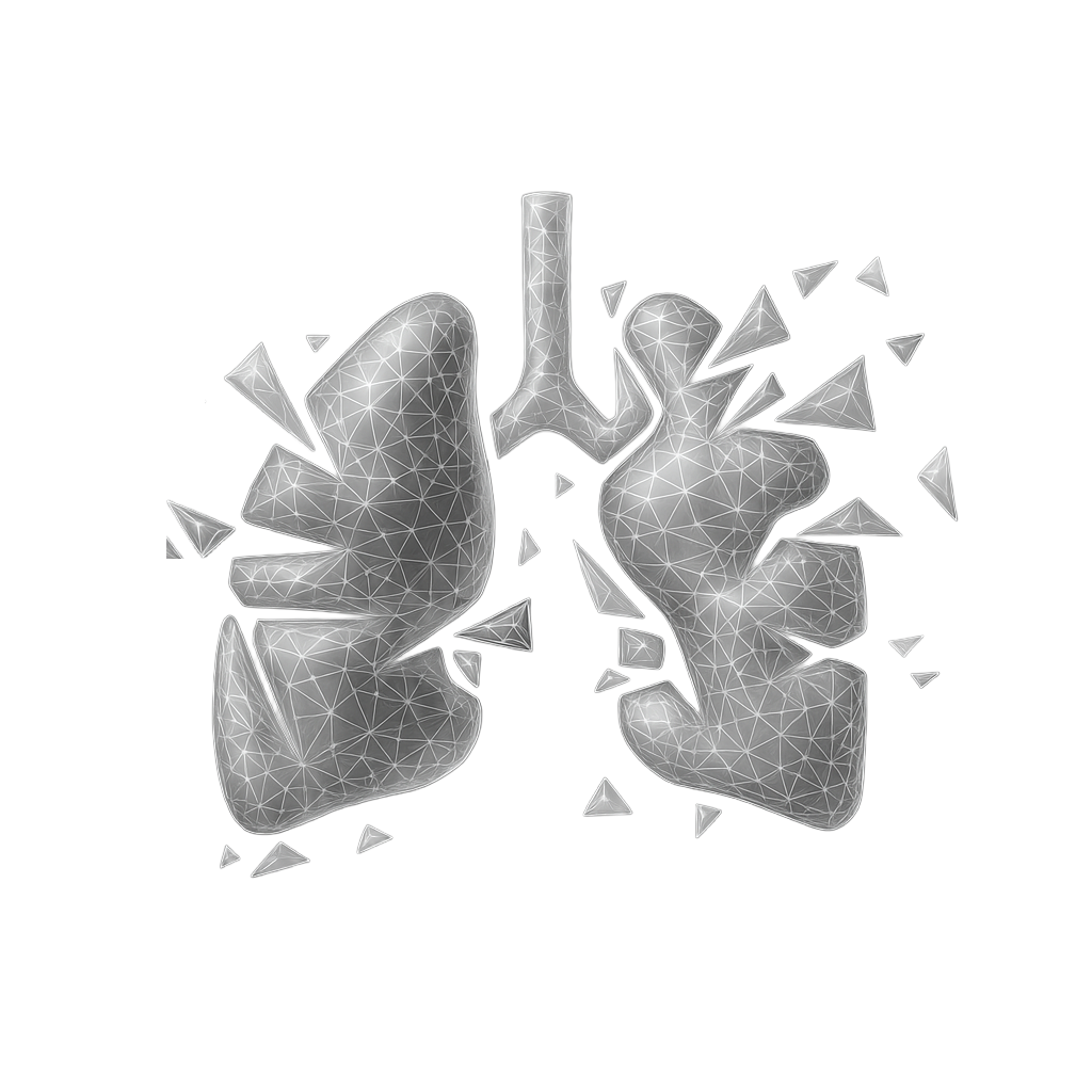 Illustration showing damaged lungs representing lung disease and respiratory health risks